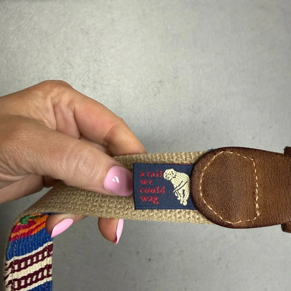 A Tail We Could Wag Southwestern Serape Woven Belt Multicolor Cactus Sz 38